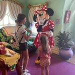 Lily Aldridge Instagram - Most Magical Day @disneyland 🥰 Making memories with my favorite people at our favorite place 🫶❤️ @disneyparks Thank you Abe for making it extra special!!