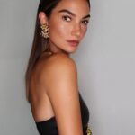 Lily Aldridge Instagram - @Schiaparelli by @DanielRoseberry ❤️‍🔥 Daniel thank you for having me at your show! The fashion, the setting, the music! STUNNING 🥀 Styled by @daniellegoldberg Makeup by @hungvanngo Hair by @daniellepriano Merci @piergiorgio 🖤🥀