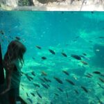 Lily Aldridge Instagram - Perfect Morning with my Sweet Buddy 🥰🐠 Animal Kingdom Disneyworld
