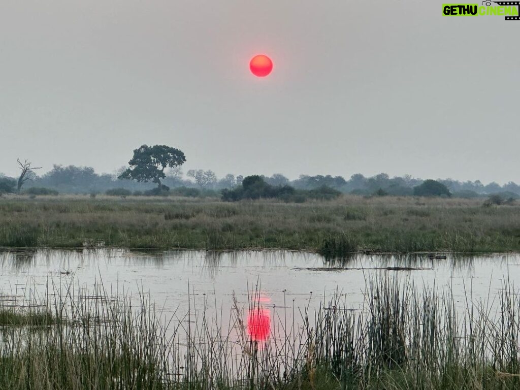 Lily James Instagram - This Botswana Africa