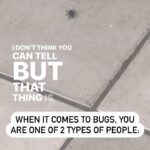 Lindsey Stirling Instagram - Which are you?