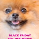 Lisa Vanderpump Instagram – OUR BLACK FRIDAY SALE @vanderpumpdogs IS HERE! Every purchase is non-profit and goes directly to our doggy rescue efforts, so you can shop and support our dogs at the same time! No promo code needed – it’s automatically applied at checkout for 50% off (excluding grocery & auction items) and, as a 501(c)(3) non-profit Foundation, all of the proceeds from your purchase are a huge help to furthering our rescue efforts. It’s a way to #ShopWithAPurpose while picking up some #Vanderpup merch for both your pooch & yourself! Visit VanderpumpDogs.org or click the link in my bio to check it out! THANK YOU!!! #VanderpumpDogs #Shop #Rescue 🐾