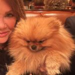 Lisa Vanderpump Instagram - Perfection accompanies me everywhere.
