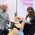 Lisa Vanderpump Instagram - Jump in, we’re going to World Dog Day! 🐾 Thank you so much to everyone who came out to support our @VanderpumpDogs 6th Annual World Dog Day this Saturday, co-sponsored by City West Hollywood (@wehocity) and presented by @nutrisourcepetfoods ! It’s been wonderful to be able to host events again to raise awareness about our fight to end global dog abuse, and to raise critical funds to end the mistreatment of dogs worldwide. Thank you to our sponsors @nutrisourcepetfoods @surrules @hillsfood @mashvet @poshpuppy @minnidip @greendogdental @pumprestaurant @tomtom @theabbeyweho - having everyone’s support means so much. I’d like to thank all of our amazing vendors, @paigeharbisonart @thepicnicstyle @justfoodfordogs @gaybors.agency @farmfreshtoyou @mybenebone @mobilityservicedogs @tiffany_dnaka_ @fujifilmx_us @healthypawsherbals @sophies_sweetcakes @wagcityclothing @sundaysfordogs @freshpatch @brutusbroth @santamonicapaws @eddievalentinfashion ! A special thank you, @drinkspindrift @drinkvina @butterypopcornco @estherbrophoenix @minnidip @shishishikevinlee & @poshpuppy for generously donating items to make our event a success! Thank you to those who donated to our Raffle as well, @minnidip @petplaysf @sophies_sweetcakes @freshpatch @dylanscandybar @fujifilmx_us @dogtv @paworiginal @mixlabrx @planopaws @chaserbrand @paigeharbisonart @wagcityclothing @airvet @sundaysfordogs @tiffany_dnaka_ @thedaftdoodleco Thank you @lancebass @michaelturchinart for MCing, @scheana @raquelleviss @dr.evanantin @jorge_bendersky for judging our doggy fashion show! And thank you to all our friends who showed up to support like @trixiemattel @tomsandoval1 @twschwa @arianamadix @musickillskate @kymwhitley @brock__davies Last but certainly not least, a very big thank you to all our volunteers (some even flew in from out of state!) who donated their time and efforts to helping make our day a huge success! We couldn’t have done it without you! To everyone else who has helped us along this journey THANK YOU! We are only able to do what we do, because of amazing people like YOU! 🐶🌎💗 (📸: @nikkiryanphotography & @edmundprieto )