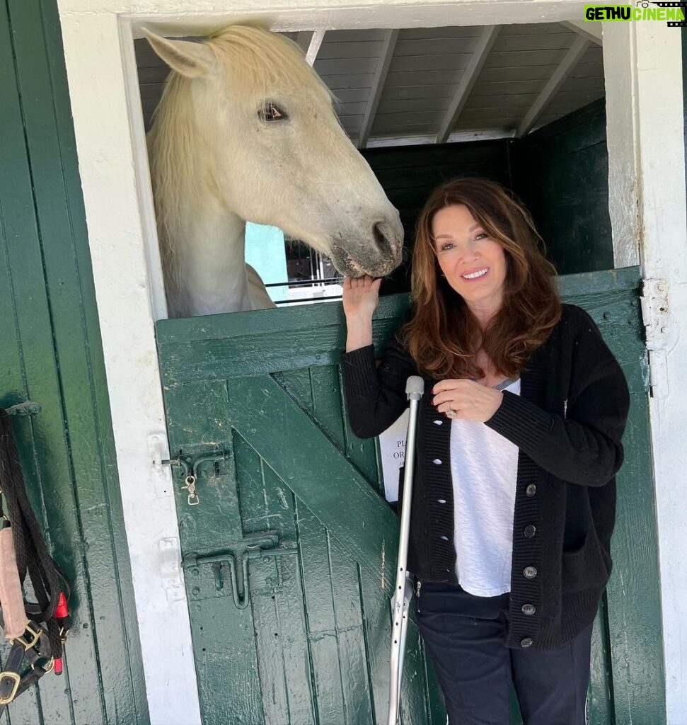 Lisa Vanderpump Instagram - Reunited and it feels so good…