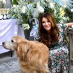 Lisa Vanderpump Instagram - What a lovely boy, Rumpy passed away from cancer a few hours after we returned from London .. he waited for us . We will always love him 💔
