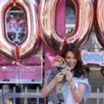 Lisa Vanderpump Instagram – HAPPY 7 YEAR ANNIVERSARY to our beautiful Vanderpump Dogs Rescue Center 💖 Can you believe 7 years ago, today, we opened our doors and adopted out our first rescue pup?! Since then we have rescued and adopted out over 2,500 dogs domestically and helped thousands more internationally‼️ Thank you all for your unwavering support these past 7 years and we can’t wait for the years to come! If you’ve adopted a dog from us, or have any fond memories of our rescue center… please comment below! Our team loves hearing updates and happy memories that you have here… 💖🐶✨