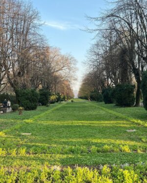 Logan Lerman Instagram - Romania I love u