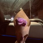 Losliya Mariyanesan Instagram - In full bloom 🌷 #hellomarch🌸🍃