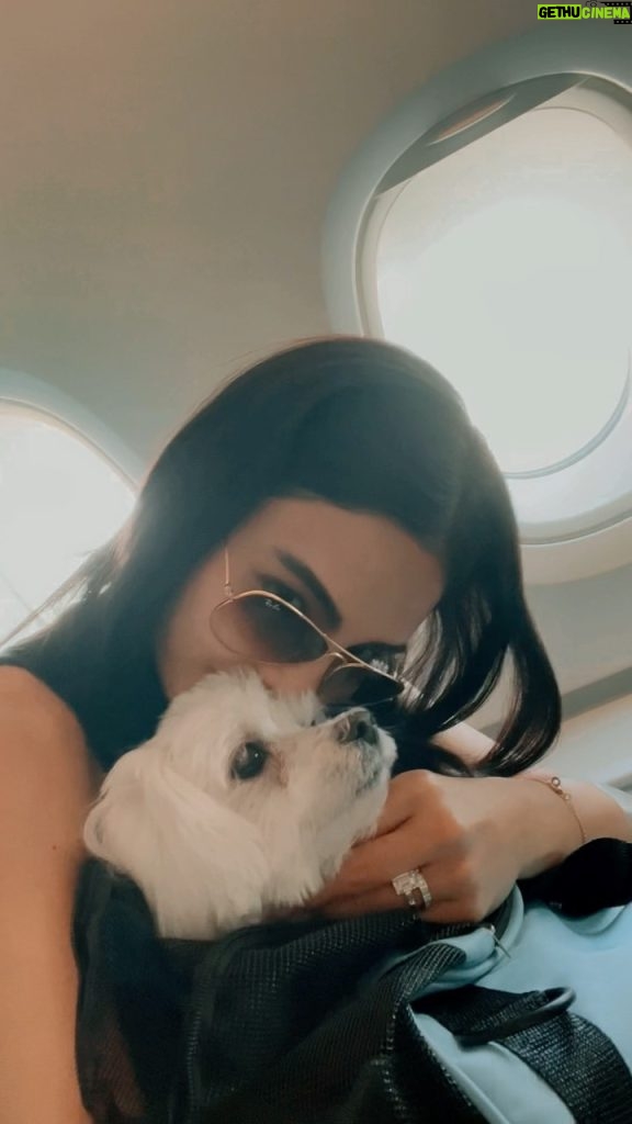 Lovi Poe Instagram - Señorito taking his first flight… ✈ It was quite a journey for him but he was so well behaved and handled it very well. Proud dog mumma.♥ Can’t thank you guys enough @gold_pet_transport @petdentity ♥