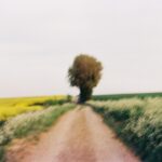 Lucas Bravo Instagram - 120mm Earth