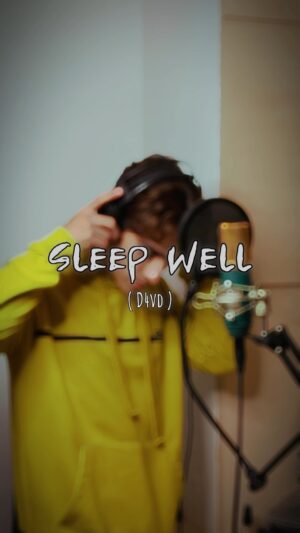 Lucas Burgatti Instagram - Minha favorita do momento… 😮‍💨🫶🏻 #sleepwell @d4vddd #cover #music #producer #voice #reels