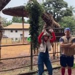 Luccas Neto Instagram - Um dia normal no @zoosaopaulo