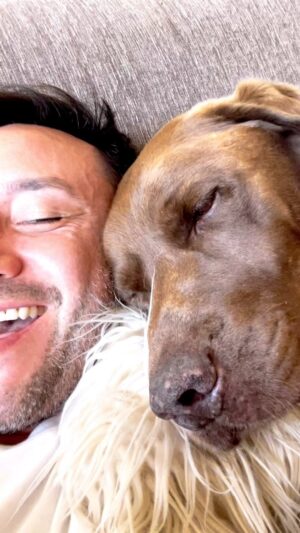 Luciano Pereyra Instagram - #Poncho quiere hacer fiaca pero me parece q no puedo dejarlo …. 🤣🤣 Como te recarga de energías estar tirado un ratito con ellos!!🐶💫❤️🥰