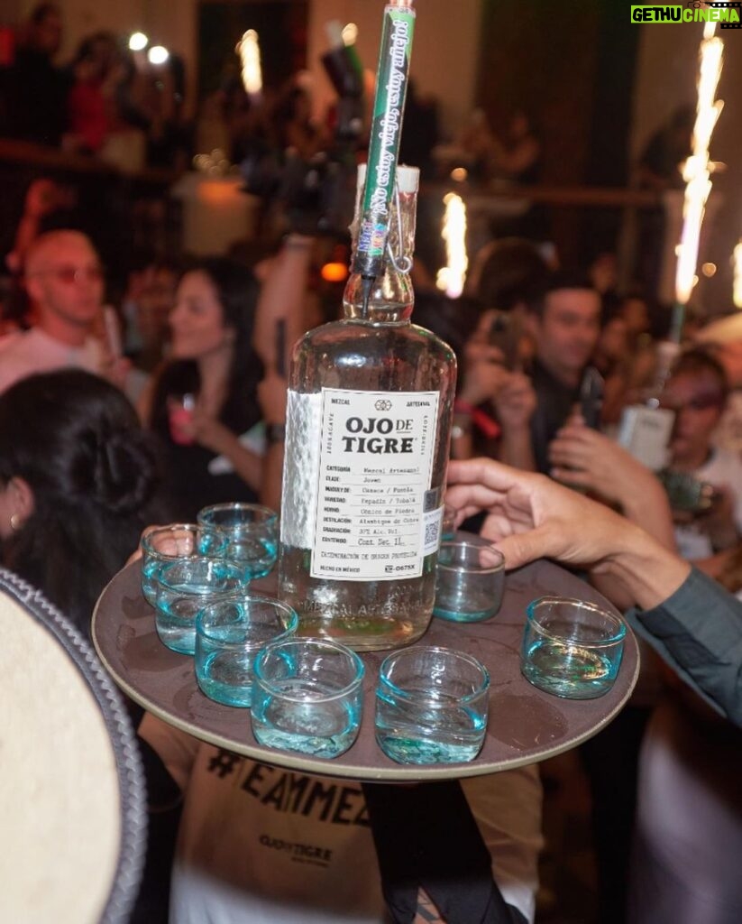 Luis Gerardo Méndez Instagram - Otro Grito del Tigre. Un año más de amigues y mezcal. Gracias a todas las personas que hacen posible nuestro @mezcalojodetigre. Y a los DJs de ayer que nos hicieron gastar suela. Salud! 👁️ 🐅