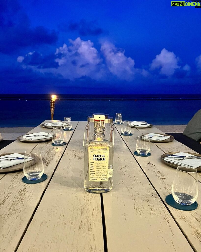 Luis Gerardo Méndez Instagram - Voy a regalar dos noches en la Tiger Suite del resort Andaz Mayakoba. Esta increíble suite combina el lujo tropical con el sabor intenso del @mezcalojodetigre. Podrías pasar dos noches allí, viviendo como una celebridad, bebiendo mezcal, nadando en tu piscina privada, y sintiéndote como el rey, reina o reine de la Riviera Maya. Todo lo que tienes que hacer para ganar es darle like a este post, etiquetar a las 5 personas con las que te gustaría venir a vivir esta experiencia comentando en este post por qué te gustaría venir, seguir a @mezcalojodetigre y @andazmayakoba.mx en Instagram y listo. Quizás tu razón sea tan buena que incluso me haga llorar, o reír. ¡Quién sabe, lo decidiré al azar! Así que, ¿qué esperas? Participa y comienza a soñar con esas dos noches en la Tiger Suite. Porque a veces, los sueños y los mezcales pueden volverse realidad. ¡Suerte! (Incluye dos noches en la Suite Presidencial de Andaz Mayakoba. No incluye vuelos ni alimentos y bebidas.) Anunciaremos al ganador el viernes 7 de julio a las 12pm. Sujeto a disponibilidad.