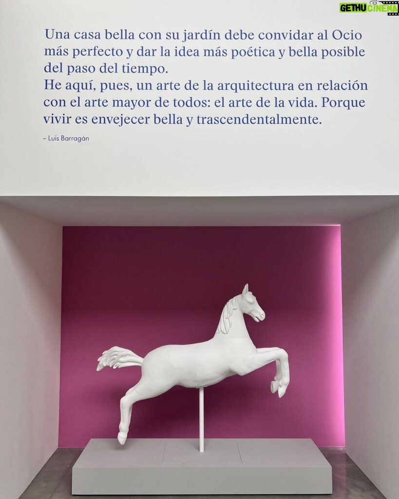 Luis Gerardo Méndez Instagram - Sacando a pasear el diseñador interior. And Barragán kicking ass. Vitra Design Museum