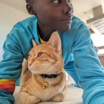 Lupita Nyong'o Instagram - Neighborhood watch, reporting for duty. 👀🙋🏿‍♀️🐱#Caturday