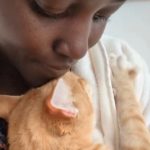 Lupita Nyong'o Instagram - Introducing my new companion, Yoyo! I have historically been afraid of cats, but when my life was altered instantly recently, a little voice whispered to me that it was time to embrace change and new possibilities. So, a dear friend (shoutout Palmer Hefferan!) held my hand through the process and took me to visit my first animal shelters. I fostered Yoyo from Best Friends Adoption Center, and 3 days into it, I knew I could not give him up. What I have learned about him already: • He LOVES company • He LOVES his food • He is extremely careful and rarely drops things • He is very picky about his wand toys • He only drinks running water • The bugs in the house don’t stand a chance • He can’t be trusted around supplements! I never understood people whose phones were full of photos and videos of their pets - now I am one of those people! It may look like I saved Yoyo, but really, Yoyo is saving me. #YOYOYYO #Caturday And shoutout to the fantastic staff at @bestfriendsanimalsociety for being so warm, helpful and patient with me!