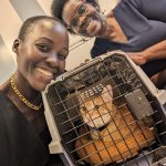 Lupita Nyong'o Instagram - Introducing my new companion, Yoyo! I have historically been afraid of cats, but when my life was altered instantly recently, a little voice whispered to me that it was time to embrace change and new possibilities. So, a dear friend (shoutout Palmer Hefferan!) held my hand through the process and took me to visit my first animal shelters. I fostered Yoyo from Best Friends Adoption Center, and 3 days into it, I knew I could not give him up. What I have learned about him already: • He LOVES company • He LOVES his food • He is extremely careful and rarely drops things • He is very picky about his wand toys • He only drinks running water • The bugs in the house don’t stand a chance • He can’t be trusted around supplements! I never understood people whose phones were full of photos and videos of their pets - now I am one of those people! It may look like I saved Yoyo, but really, Yoyo is saving me. #YOYOYYO #Caturday And shoutout to the fantastic staff at @bestfriendsanimalsociety for being so warm, helpful and patient with me!