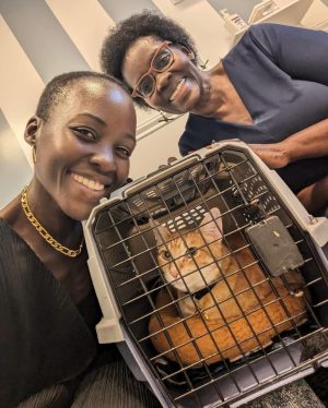 Lupita Nyong'o Instagram - Introducing my new companion, Yoyo!
I have historically been afraid of cats, but when my life was altered instantly recently, a little voice whispered to me that it was time to embrace change and new possibilities. So, a dear friend (shoutout Palmer Hefferan!) held my hand through the process and took me to visit my first animal shelters. I fostered Yoyo from Best Friends Adoption Center, and 3 days into it, I knew I could not give him up.
What I have learned about him already:
•  He LOVES company
•  He LOVES his food
•  He is extremely careful and rarely drops things
•  He is very picky about his wand toys
•  He only drinks running water
•  The bugs in the house don’t stand a chance
•  He can’t be trusted around supplements!
I never understood people whose phones were full of photos and videos of their pets - now I am one of those people! It may look like I saved Yoyo, but really, Yoyo is saving me. #YOYOYYO #Caturday 

And shoutout to the fantastic staff at @bestfriendsanimalsociety for being so warm, helpful and patient with me!