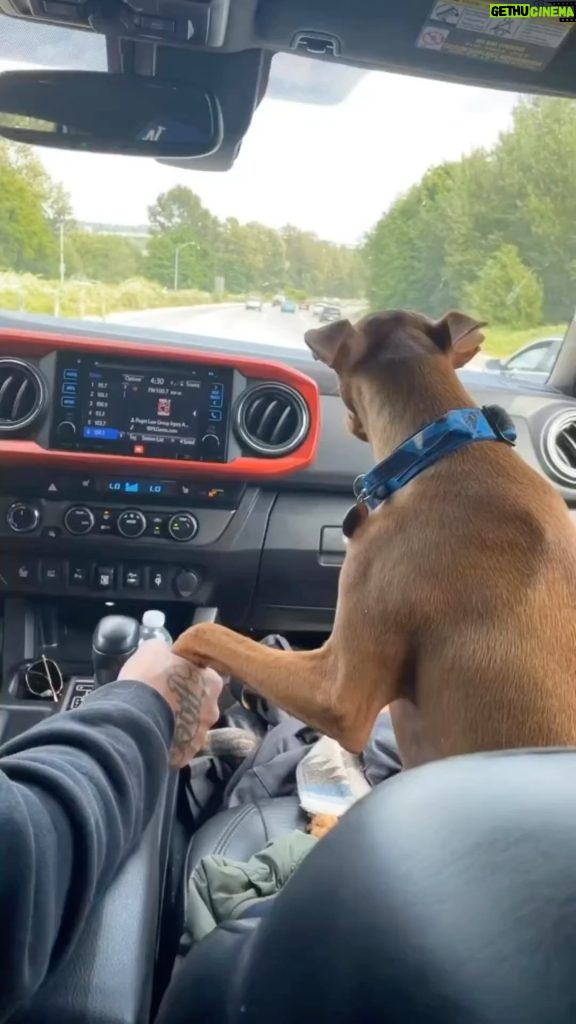 Márcio Garcia Instagram - Que momento gostoso de se ver… Nada mal pegar a estrada numa sexta feira com seu melhor amigo… . Marque um amigo que também tem um peludinho parceiro em momentos especiais. . Que Deus abençoe nosso final de semana 🙏🏼🙌🏼❤️