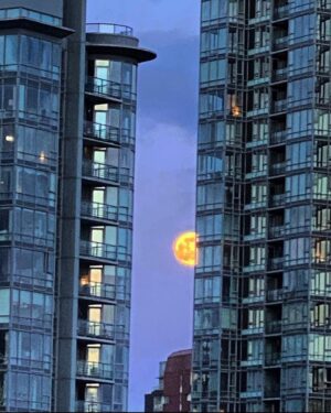 Mädchen Amick Instagram - Peek-a-moon 🌚