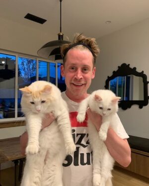 Macaulay Culkin Instagram - They're multiplying.