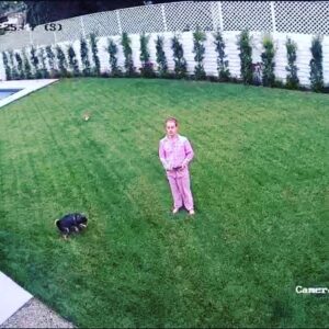 Macaulay Culkin Instagram - My dog is pooping and also my backyard camera is working.