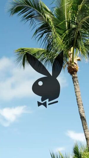 Madisyn Shipman Instagram - The bunnies are out and about… this time in the Bahamas!! ❤️ make sure to check out this article and all the bts photos on my @playboy @playboycenterfold