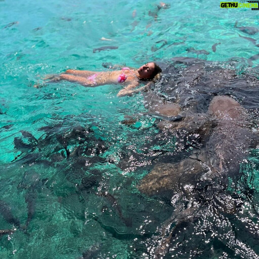 Madisyn Shipman Instagram - Mindset: Always train yourself to swim with the sharks.