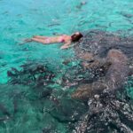 Madisyn Shipman Instagram - Mindset: Always train yourself to swim with the sharks.