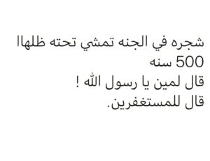 Maged Elmasry Instagram - 
