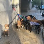Malena Ratner Instagram - Popurri de amor Finde Largo