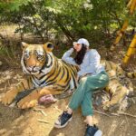 Malti Chahar Instagram - First jungle safari, first tiger spotted ( her name is Bindiya) and many selfies with these cuties 😉❤️ #jungle #junglesafari #tiger #wildlife #nature #wild