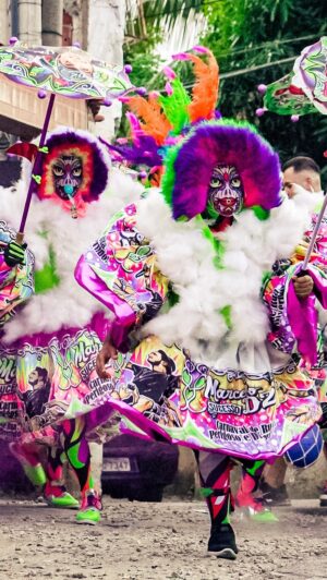Marcelo D2 Instagram - Zona Norte, fundamento 

como eu chorei nesse carnaval .. chorei emocionado, chorei por ver que aquele sentimento de pertencimento do moleque do subúrbio ainda vive forte e por presenciar bem ali na minha frente a resistência se manifestando através da tradição, da arte, da festa ... 

recebi uma mensagem da rapaziada da @turmasucesso dizendo que eu mudei a vida deles na noite no @circovoador ... na verdade, quem mudou a minha vida foram eles ... 

IBORU IBOYA IBOSHESHÈ

📽️ @yancarpenter // @moving.comunicacao