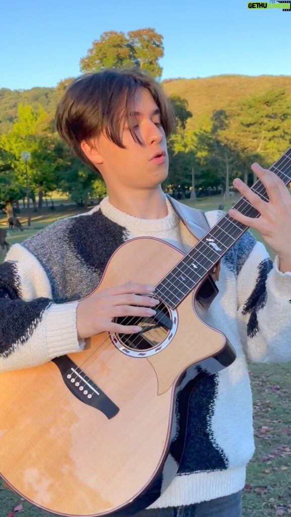 Marcin Patrzalek Instagram - Serenading the deer in Japan on my new guitar 🙇‍♂ #guitar #japan #nara