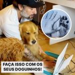 Marcos Mion Instagram – PRA ETERNIZAR O AMOR COM SEU DOGUINHO 🫶🏻🐶
.
Marque aqui quem vai gostar dessa dica ☺️