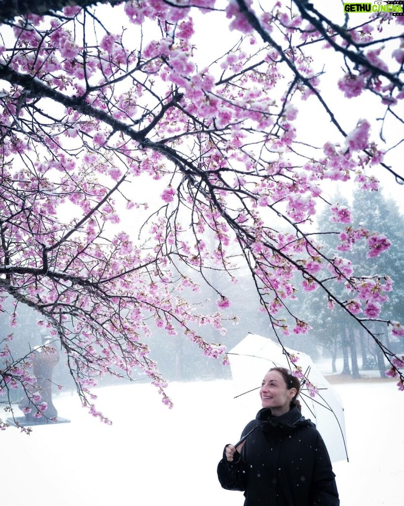 Marimar Vega Instagram - Cherry blossoms, nieve y una niña muy feliz @leicacameramx 📸. Japón - 日本