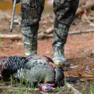 Mark Calaway Instagram - It was at that moment “Tom” realized he had made a very big mistake! I would like to thank @tylerjordan and @realtreeoutdoors for the excellent turkey hunt! I’m definitely hooked and can’t wait to do it again! #retayshotguns #realtree365 #theofficalbonecollector #realtreeroadtrips #ninelineapparel #mikewaddell