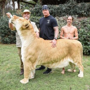 Mark Calaway Instagram - Big thanks to @docantle & @myrtlebeachsafari for showing us a great time today!