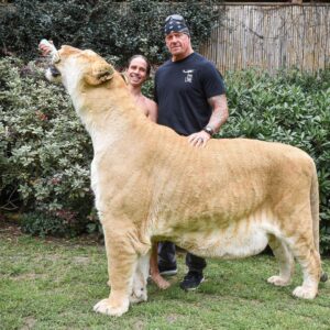 Mark Calaway Instagram - Big thanks to @docantle & @myrtlebeachsafari for showing us a great time today!