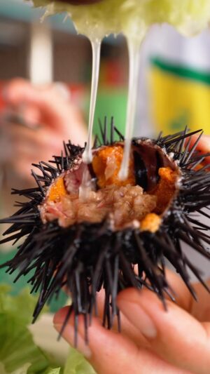 Mark Wiens Instagram - Here’s how you eat sea urchin the Senegalese way… 🇸🇳!! #Dakar #Senegal #seaurchin @papetatandiaye