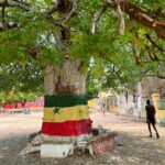 Mark Wiens Instagram - 10 Days in Senegal 🇸🇳 @papetatandiaye Outstanding food, people, natural beauty - what a trip. Full videos coming soon! #Senegal #food