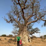 Mark Wiens Instagram - 10 Days in Senegal 🇸🇳 @papetatandiaye Outstanding food, people, natural beauty - what a trip. Full videos coming soon! #Senegal #food
