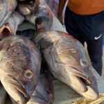 Mark Wiens Instagram - 10 Days in Senegal 🇸🇳 @papetatandiaye Outstanding food, people, natural beauty - what a trip. Full videos coming soon! #Senegal #food