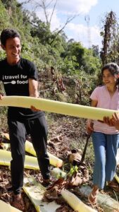 Mark Wiens Instagram - Karen village food - cooking a huge banana tree! Thank you to @mookshilltribecrafts I had a few amazing days learning about Karen people and their delicious food in #MaeHongSon #Thailand This is just a short 1 min clip here, you can watch the full video process on YouTube now. Mae Hong Son, Thailand