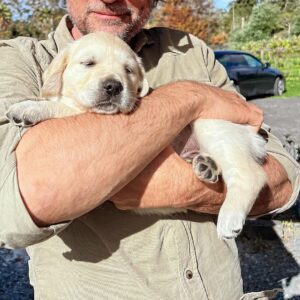 Martin Henderson Instagram - Many people ask me where Sammy is. I’ve mentioned before that he sadly passed away two summers ago. Been a big empty space in my life since which I’ve managed to fill with a huge amount of gratitude for the blessing he was in my life and all the love we shared. I haven’t felt much like interacting with dogs since case it still hurts me a lot to come close to what I’ve lost since his passing but I must be healing because this little bundle of fur and sweetness was a joy to snuggle. 🐶 ♥️