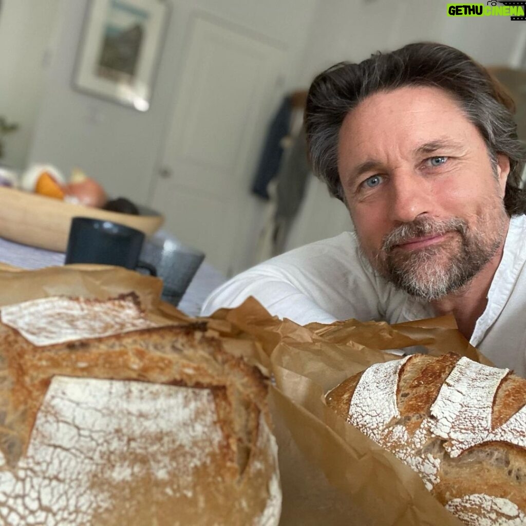 Martin Henderson Instagram - So proud of my babies 🥖 🍞 #baking #sourdough Malibu, California