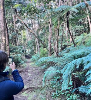 Martin Henderson Instagram - Soakin’ in the green of NZ bush. And blessed by the presence of a Kererū (New Zealand Wood Pigeon). I love to be immersed in the simple yet overflowing abundance of nature. It heals. It inspires. Thank you for all the kind messages of late. Love you guys x
